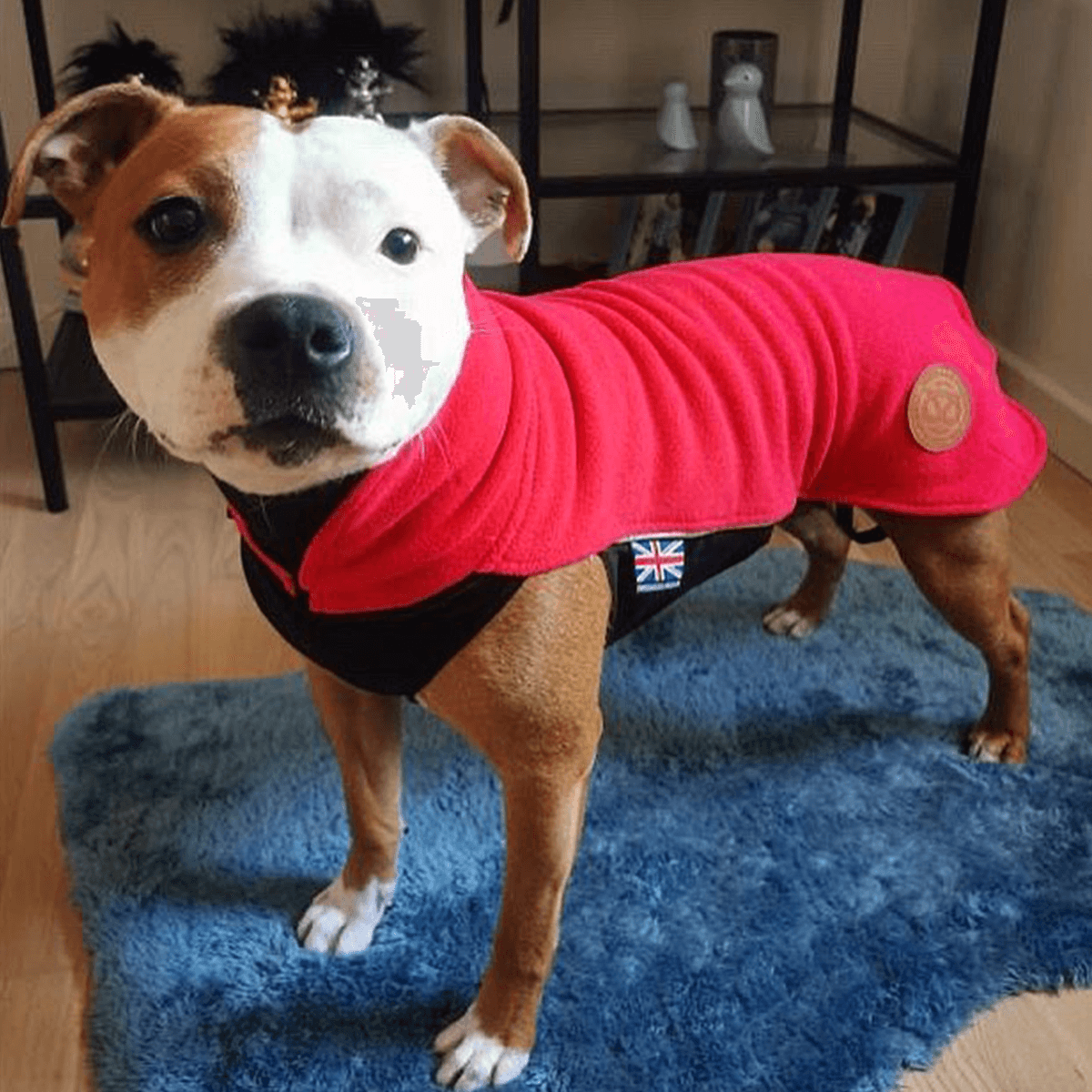 Staffordshire Bull Terrier 1935® Manteau Polaire - Rouge