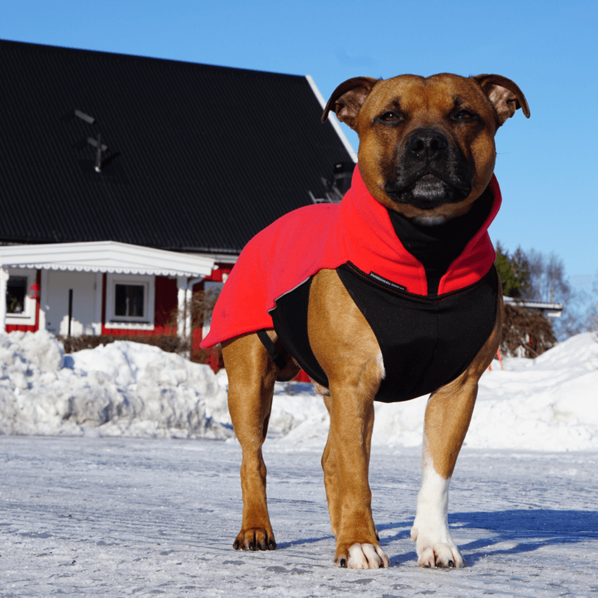 Staffordshire Bull Terrier 1935® Fleece Coat - Red