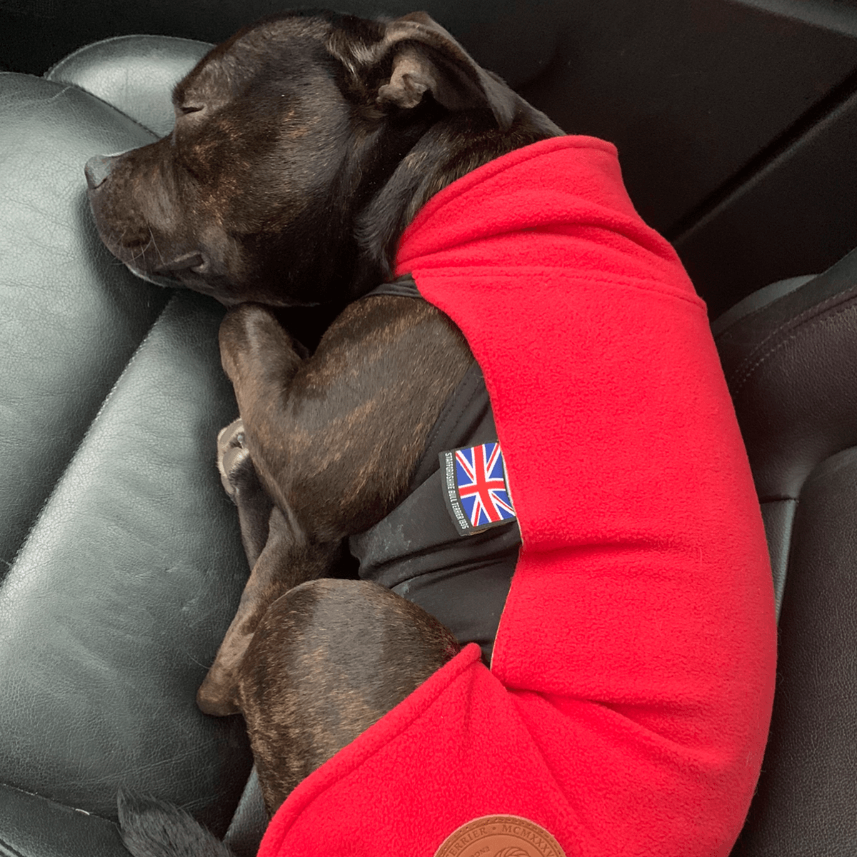 Staffordshire Bull Terrier 1935® Fleece Coat - Red