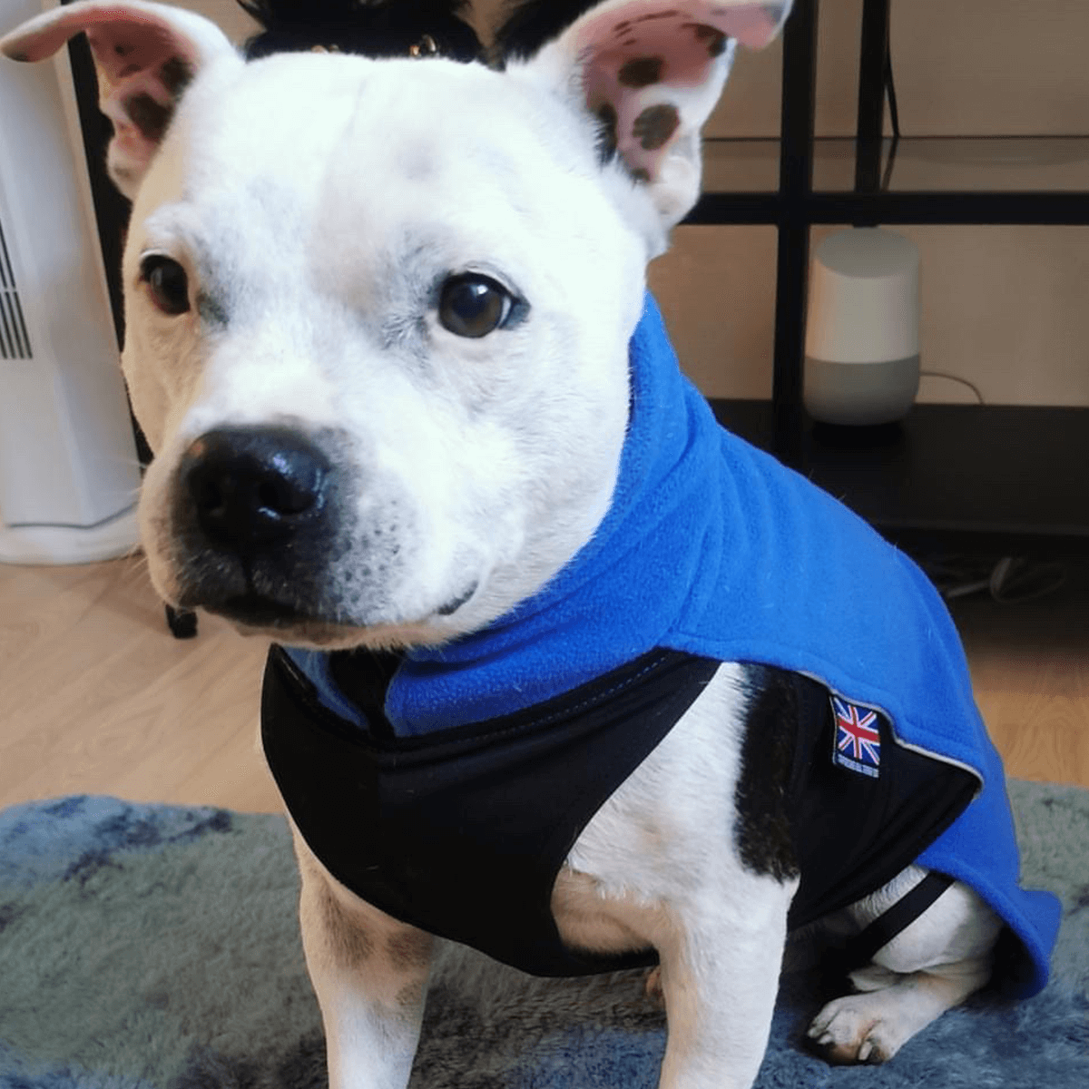 Staffordshire Bull Terrier 1935 Fleece CoatStaffy Fleece Coat - Staffordshire Bull Terrier 1935®