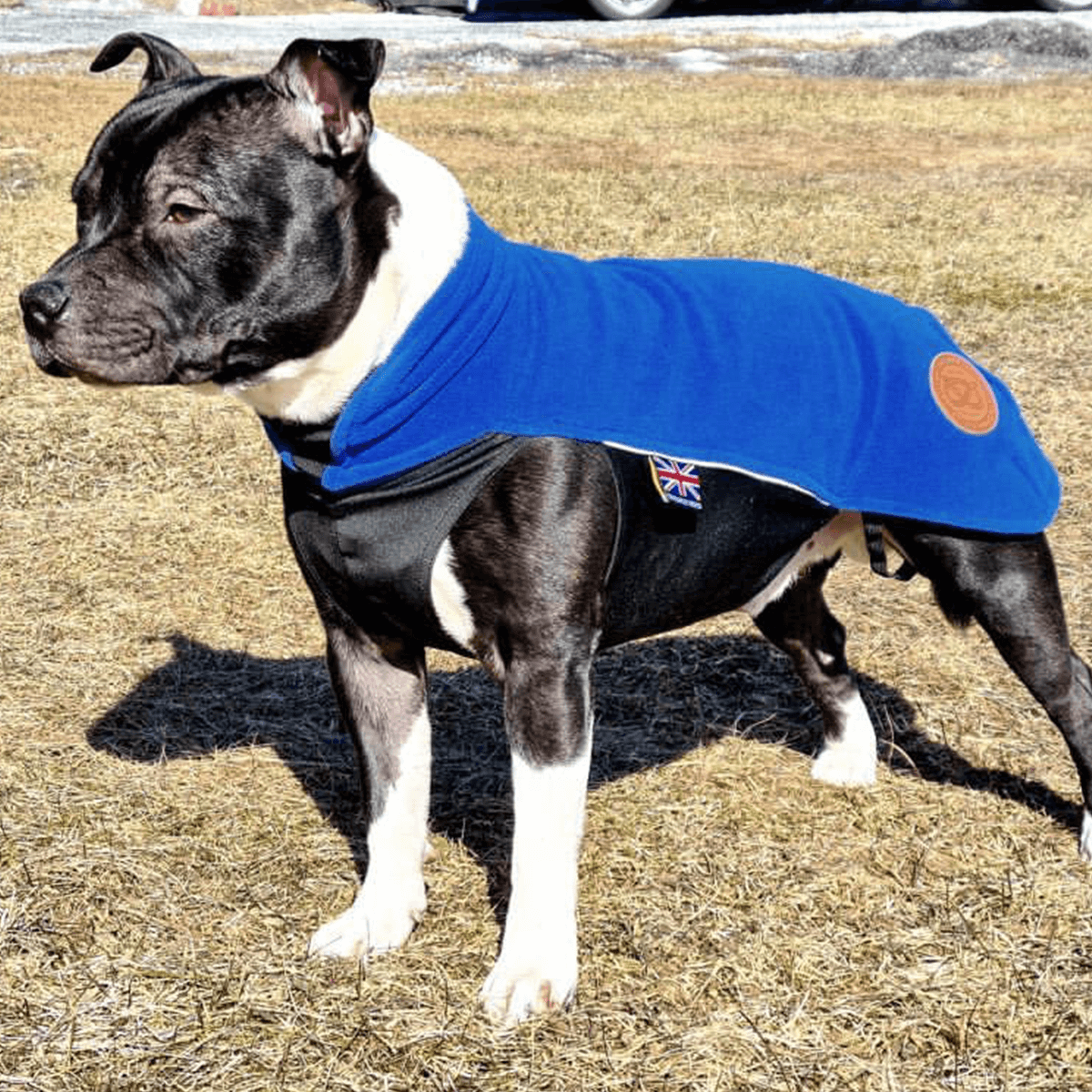 Staffordshire Bull Terrier 1935 Fleece Coat