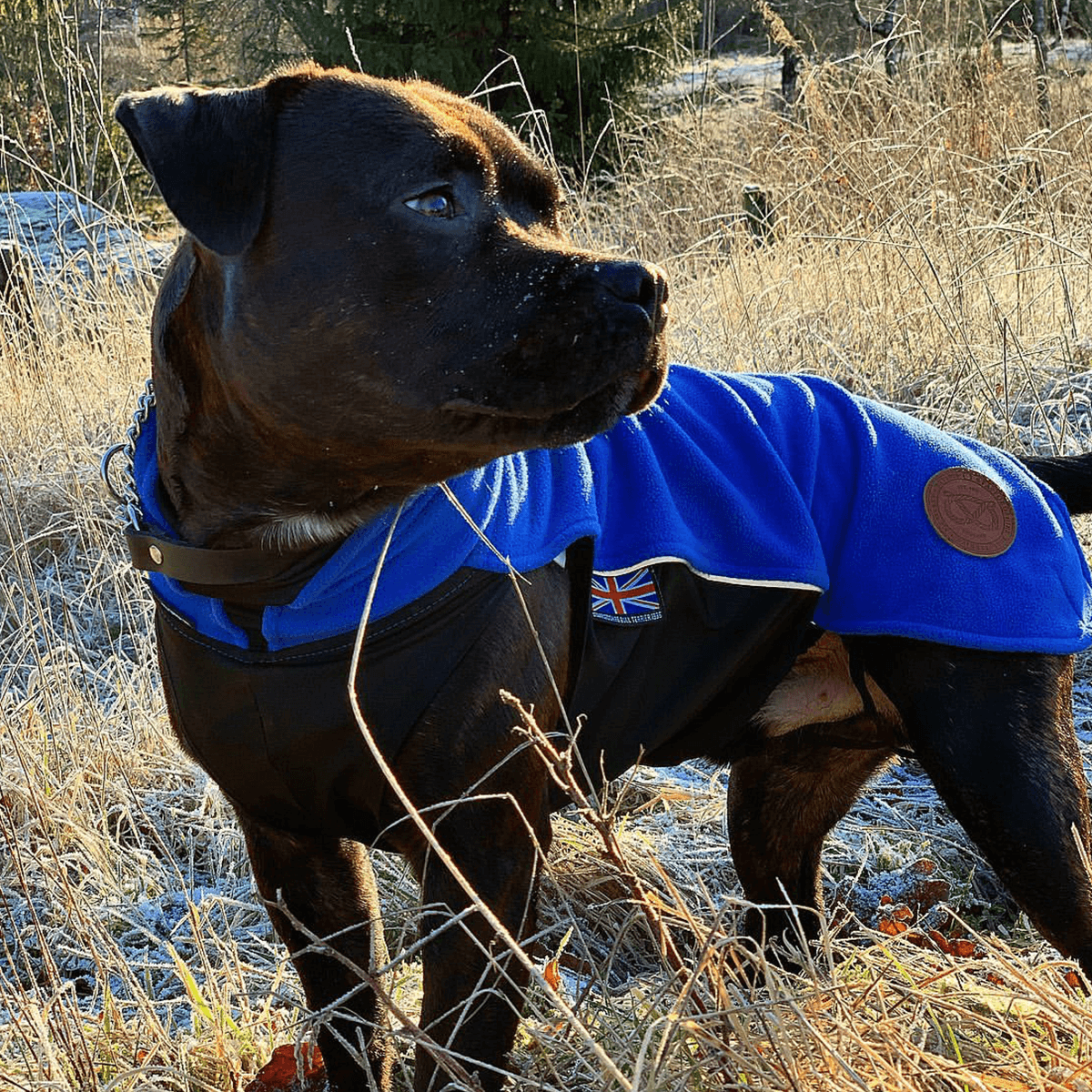 Staffordshire Bull Terrier 1935 Fleece Coat