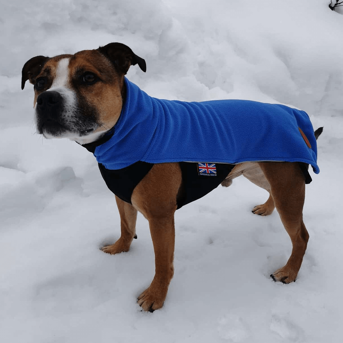 Staffordshire Bull Terrier 1935 Fleece Coat