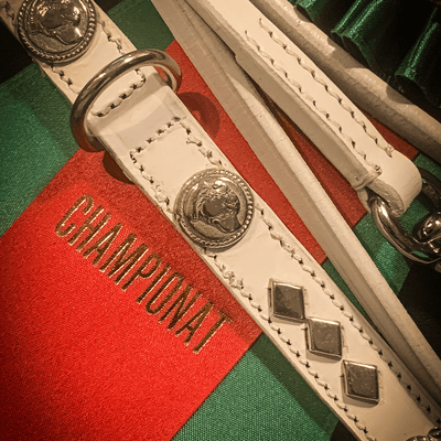 Staffordshire Bull Terrier 1935® Utställningshalsband & Koppel Set - Victory - Vit & Silver