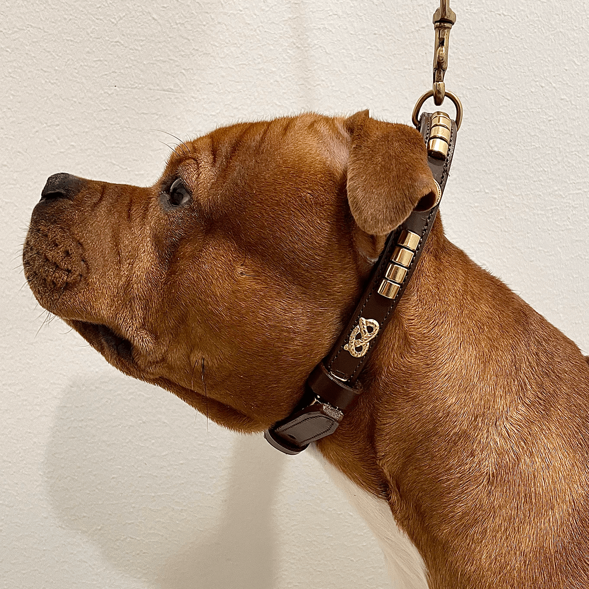 Staffordshire Bull Terrier Show Collar & Leash Set - Staffordshire Bull Terrier 1935®