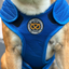 Staffordshire Bull Terrier 1935® Gilet de Refroidissement - Bleu