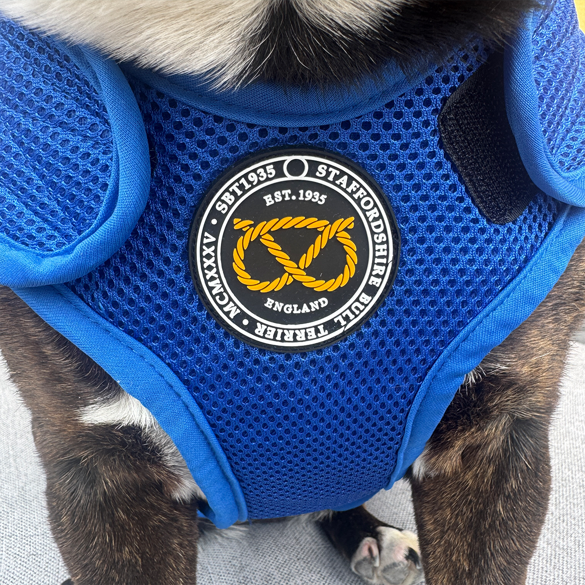 Staffordshire Bull Terrier 1935® Cooling Vest - Blue