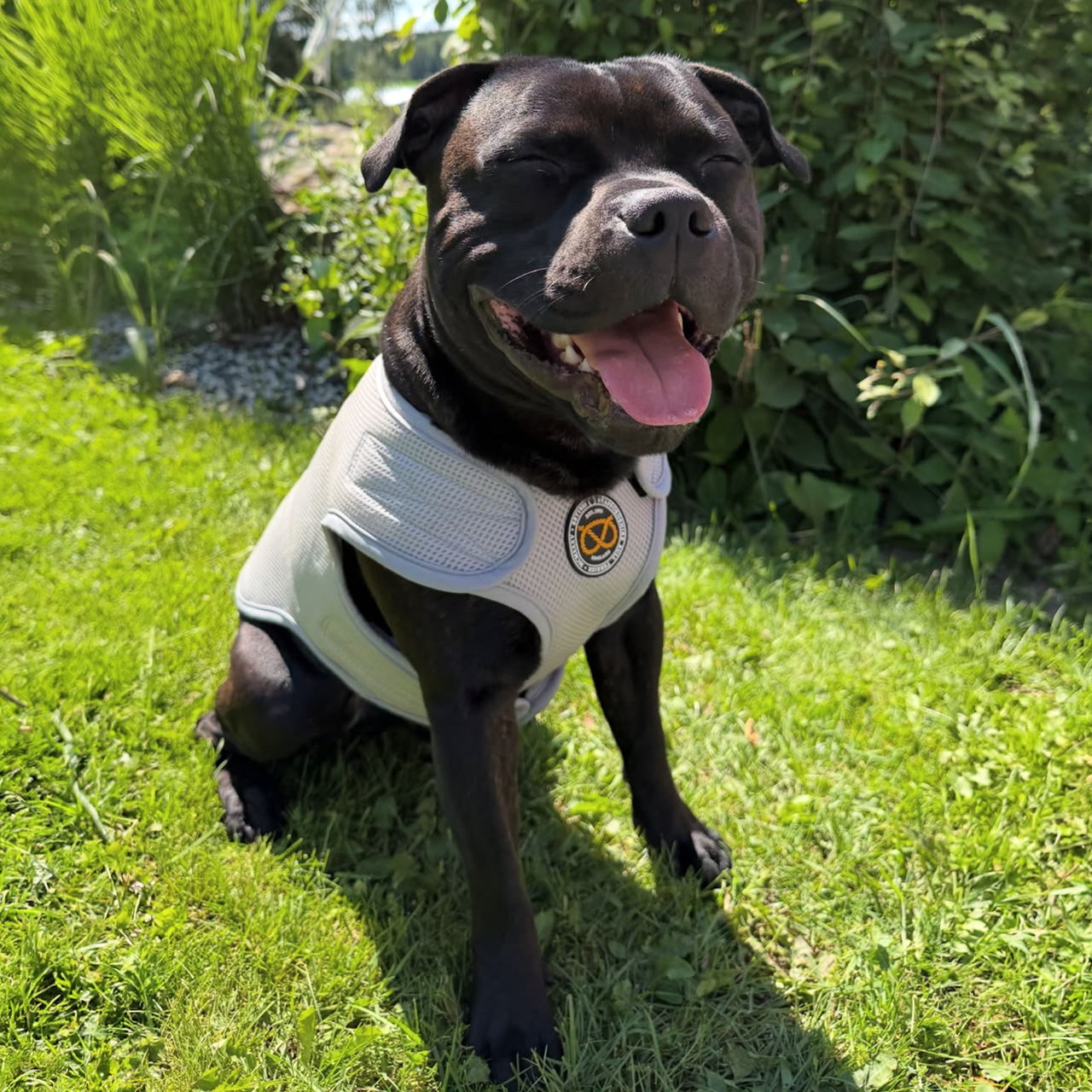 Staffordshire Bull Terrier 1935® Cooling Vest - Grey