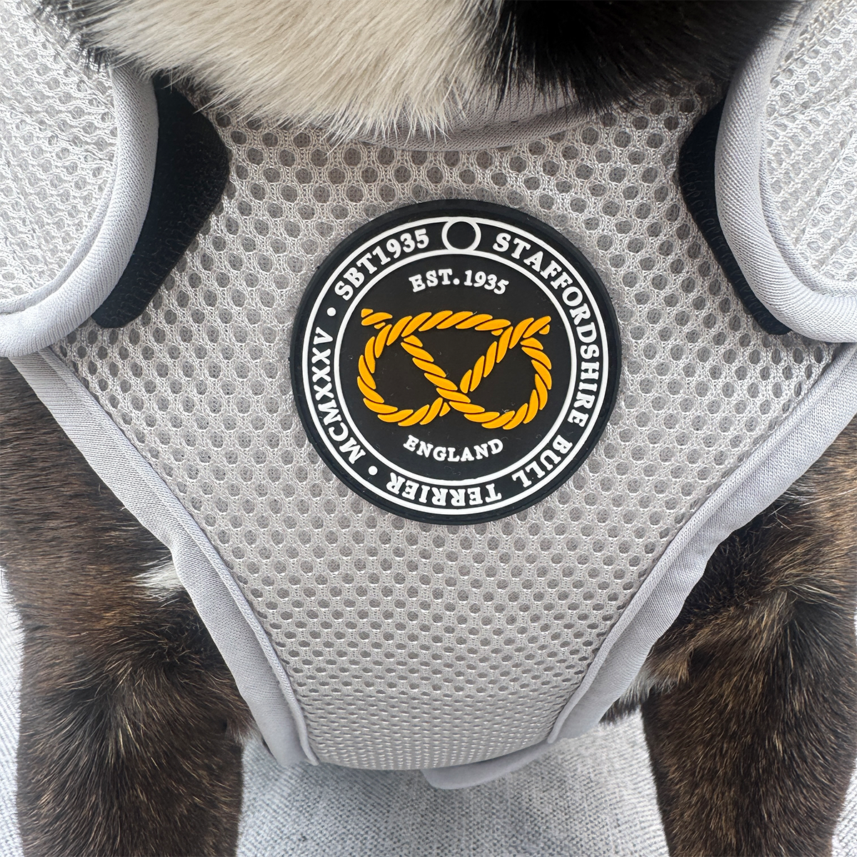Staffordshire Bull Terrier 1935® Cooling Vest - Grey
