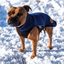 Staffordshire Bull Terrier 1935® Fleece Coat - Navy Blue