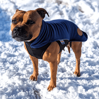 Staffordshire Bull Terrier 1935® Fleecetäcke - Mörkblå