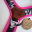 Staffordshire Bull Terrier 1935® Harness & Leash Set - Night Camo & Neon Pink