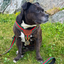 Staffordshire Bull Terrier 1935® Harness & Leash Set - Rosso Verde Edition