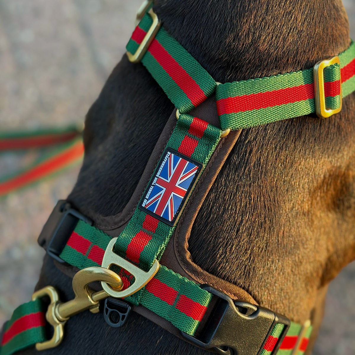Staffordshire Bull Terrier 1935® Harness & Leash Set - Rosso Verde Edition