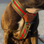 Staffordshire Bull Terrier 1935® Harness & Leash Set - Rosso Verde Edition