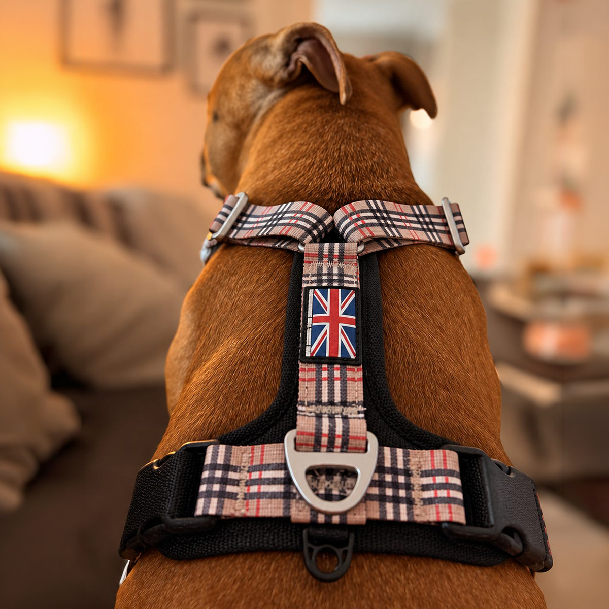 Staffordshire Bull Terrier 1935® Harness & Leash Set - Staffburry Beige