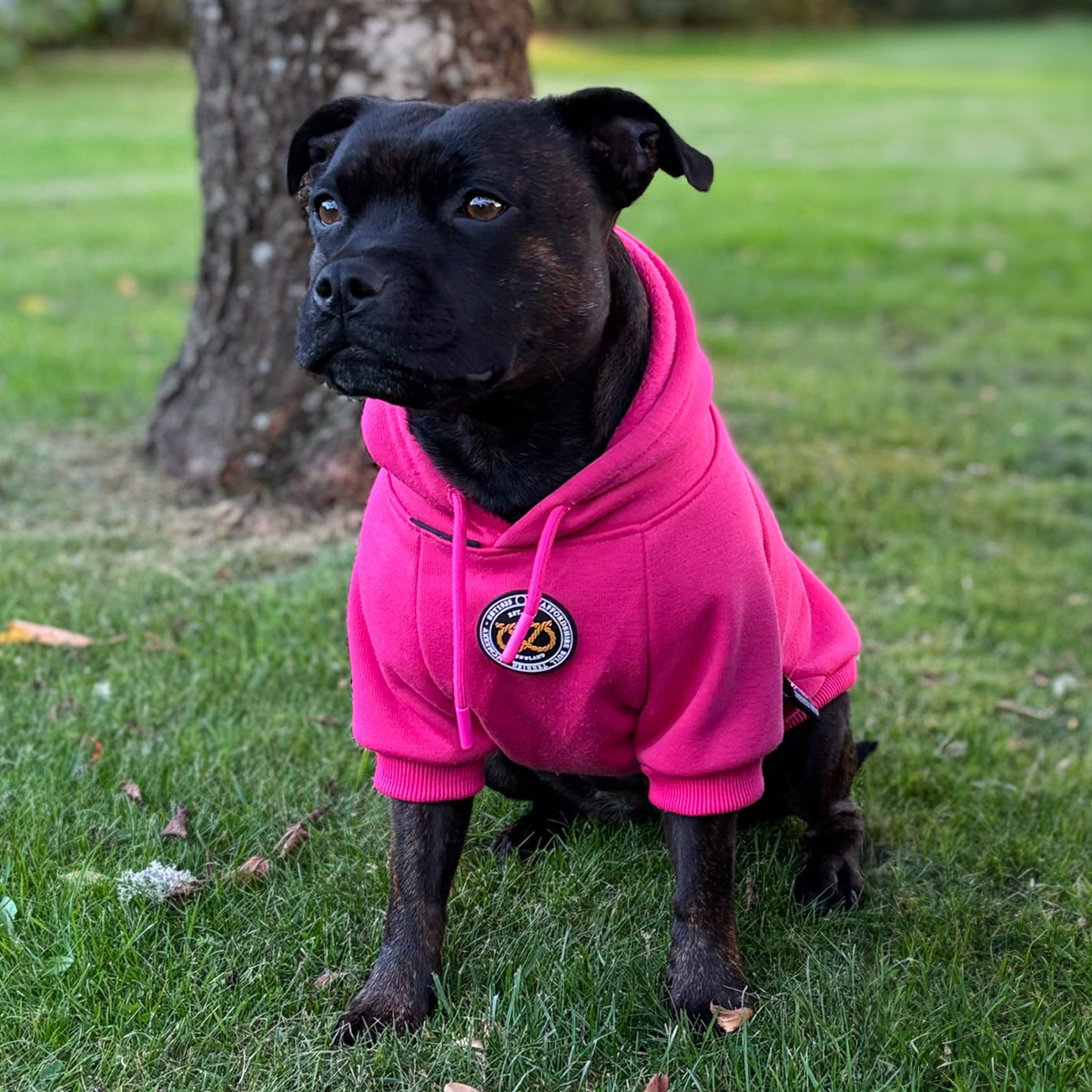 Staffordshire Bull Terrier 1935® Hoodies - Fuchsia