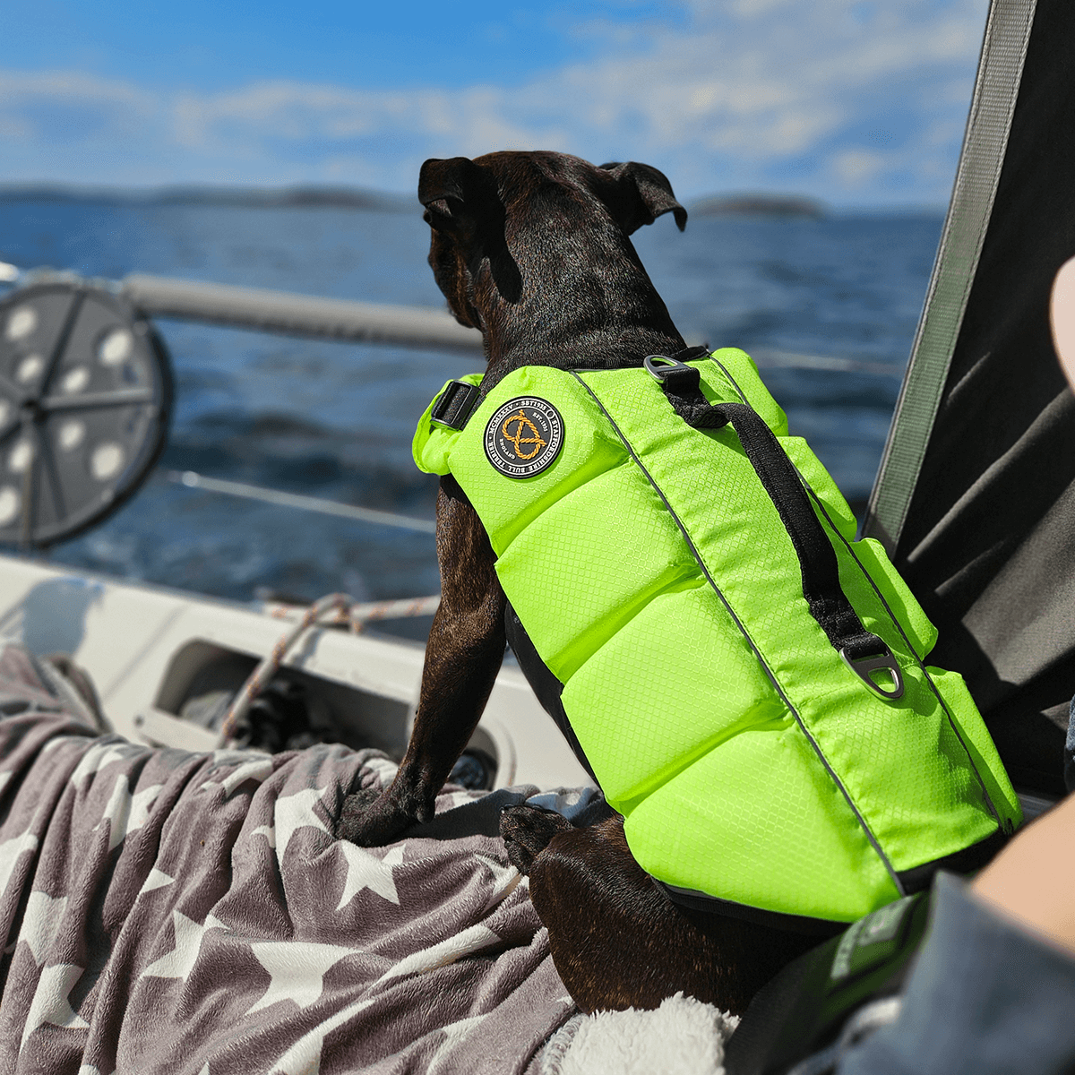 Staffordshire Bull Terrier 1935® Life Jacket / Life Vest for staffies