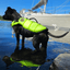 Staffordshire Bull Terrier 1935® Life Jacket / Life Vest for staffies