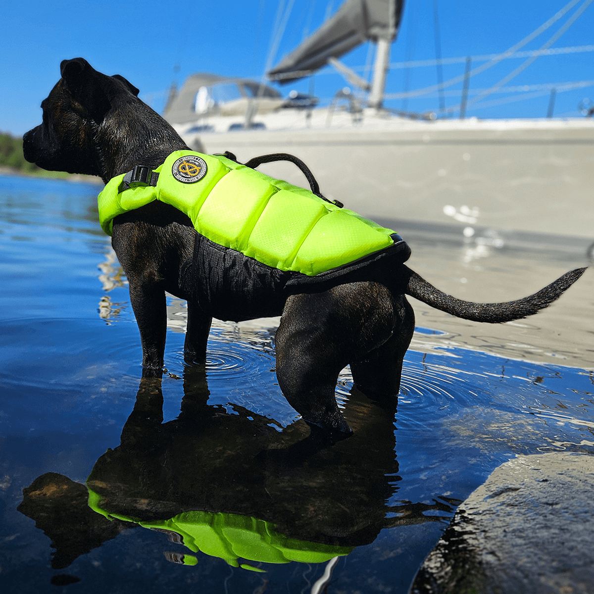 Staffordshire Bull Terrier 1935® Life Jacket / Life Vest for staffies