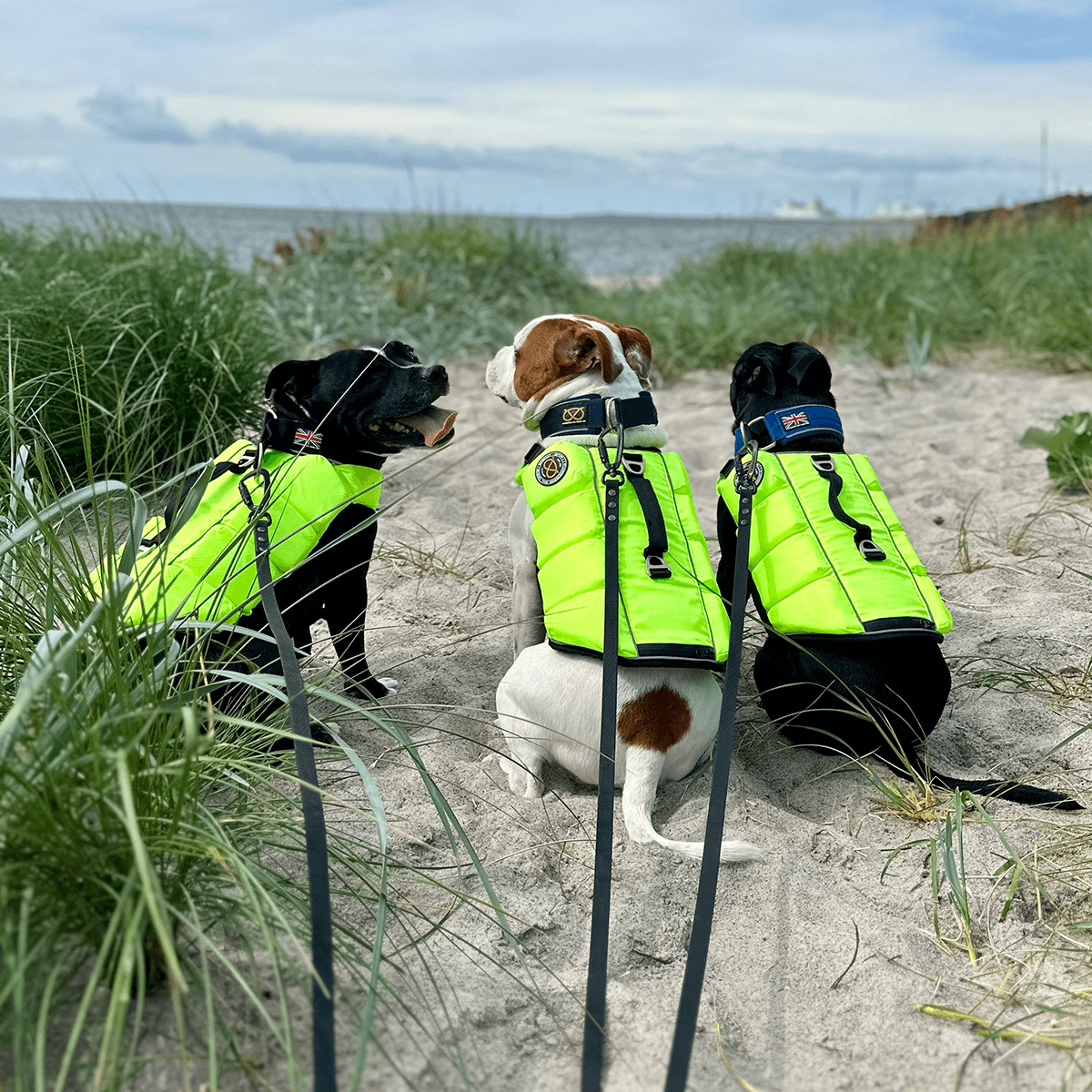 Staffordshire Bull Terrier 1935® Life Jacket / Life Vest for staffies