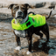 Staffordshire Bull Terrier 1935® Life Jacket / Life Vest for staffies