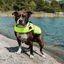 Staffordshire Bull Terrier 1935® Life Jacket / Life Vest for staffies