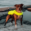 Staffordshire Bull Terrier 1935® Life Jacket / Life Vest for staffies