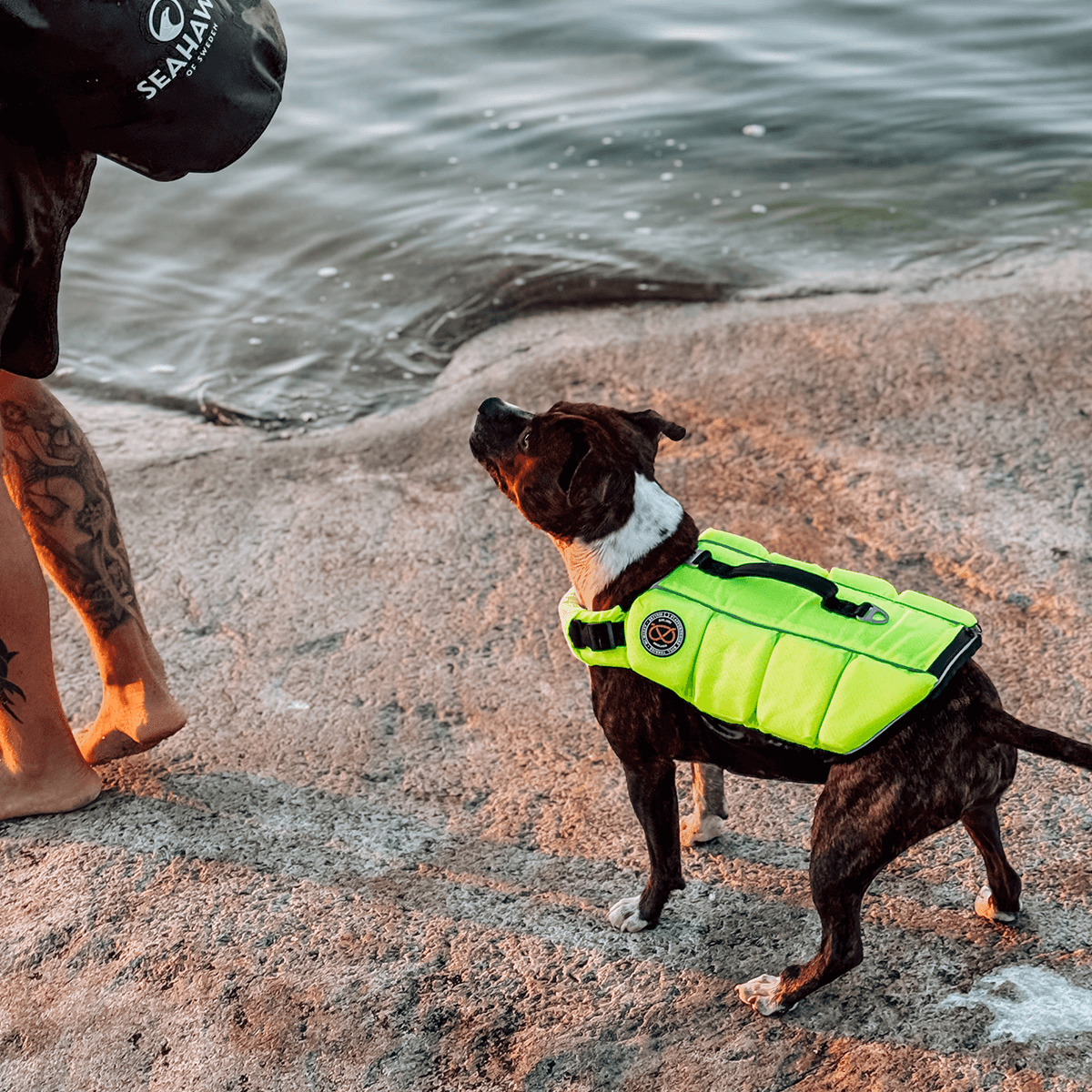 Staffordshire Bull Terrier 1935® Life Jacket / Life Vest for staffies