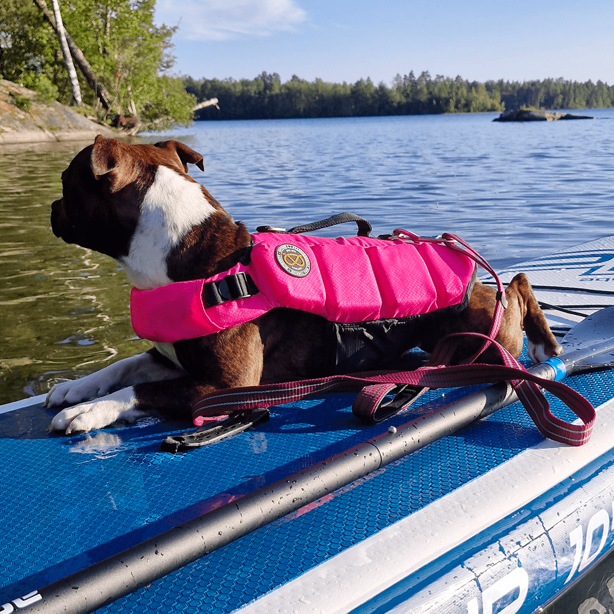 Staffordshire Bull Terrier 1935 Life Jacket 