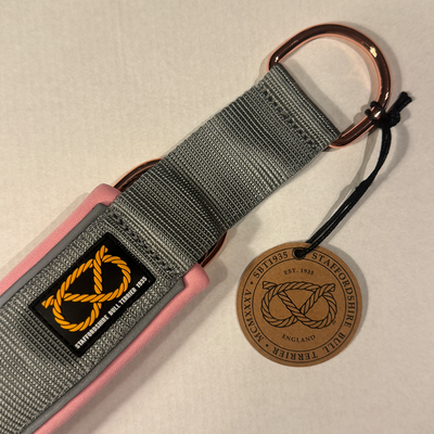 Staffordshire Bull Terrier 1935® Martingale Collar - Grey & Baby Pink w Rose Gold