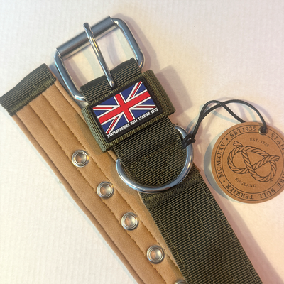 Staffordshire Bull Terrier 1935® Nylon Collar - Hunter