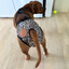 Staffordshire Bull Terrier 1935® Hygiene Panties with Suspenders - Leopard