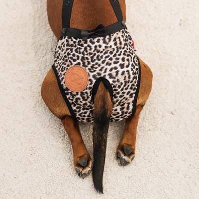 Staffordshire Bull Terrier 1935® Hygiene Panties with Suspenders - Leopard