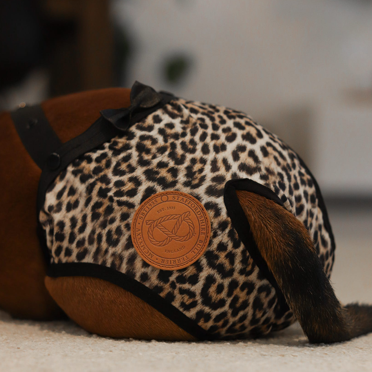 Staffordshire Bull Terrier 1935® Hygiene Panties with Suspenders - Leopard