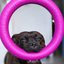 Staffordshire Bull Terrier 1935® Dragring - Rosa