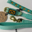 Staffordshire Bull Terrier 1935® Puppy Collar & Leash Set - Turquoise with Gold