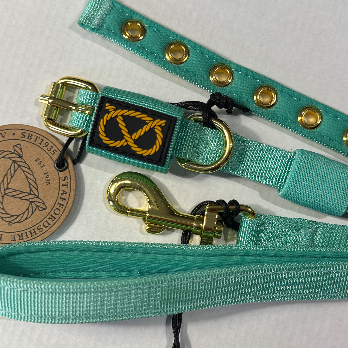 Staffordshire Bull Terrier 1935® Puppy Collar & Leash Set - Turquoise with Gold