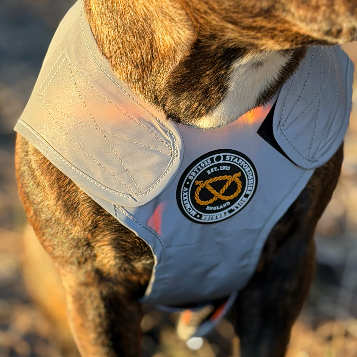 Staffordshire Bull Terrier 1935® Gilet Réfléchissant