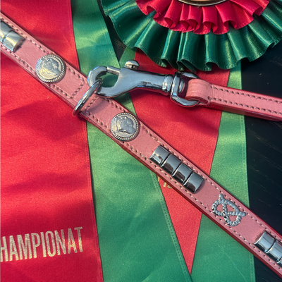 Staffordshire Bull Terrier 1935® Show Collar & Leash Set - Champion - Baby Pink & Silver