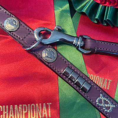 Staffordshire Bull Terrier 1935® Show Collar & Leash Set - Champion - Purple & Silver
