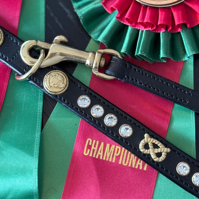 Staffordshire Bull Terrier 1935® Show Collar & Leash Set - Diamond - Black & Gold