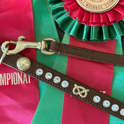 Staffordshire Bull Terrier 1935® Show Collar & Leash Set - Diamond - Brown & Gold