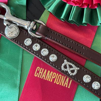 Staffordshire Bull Terrier 1935® Show Collar & Leash Set - Diamond - Brown & Silver