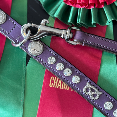 Staffordshire Bull Terrier 1935® Show Collar & Leash Set - Diamond - Purple & Silver