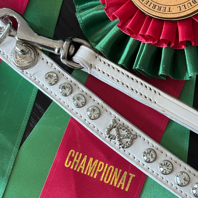 Staffordshire Bull Terrier 1935® Show Collar & Leash Set - Diamond - White & Silver