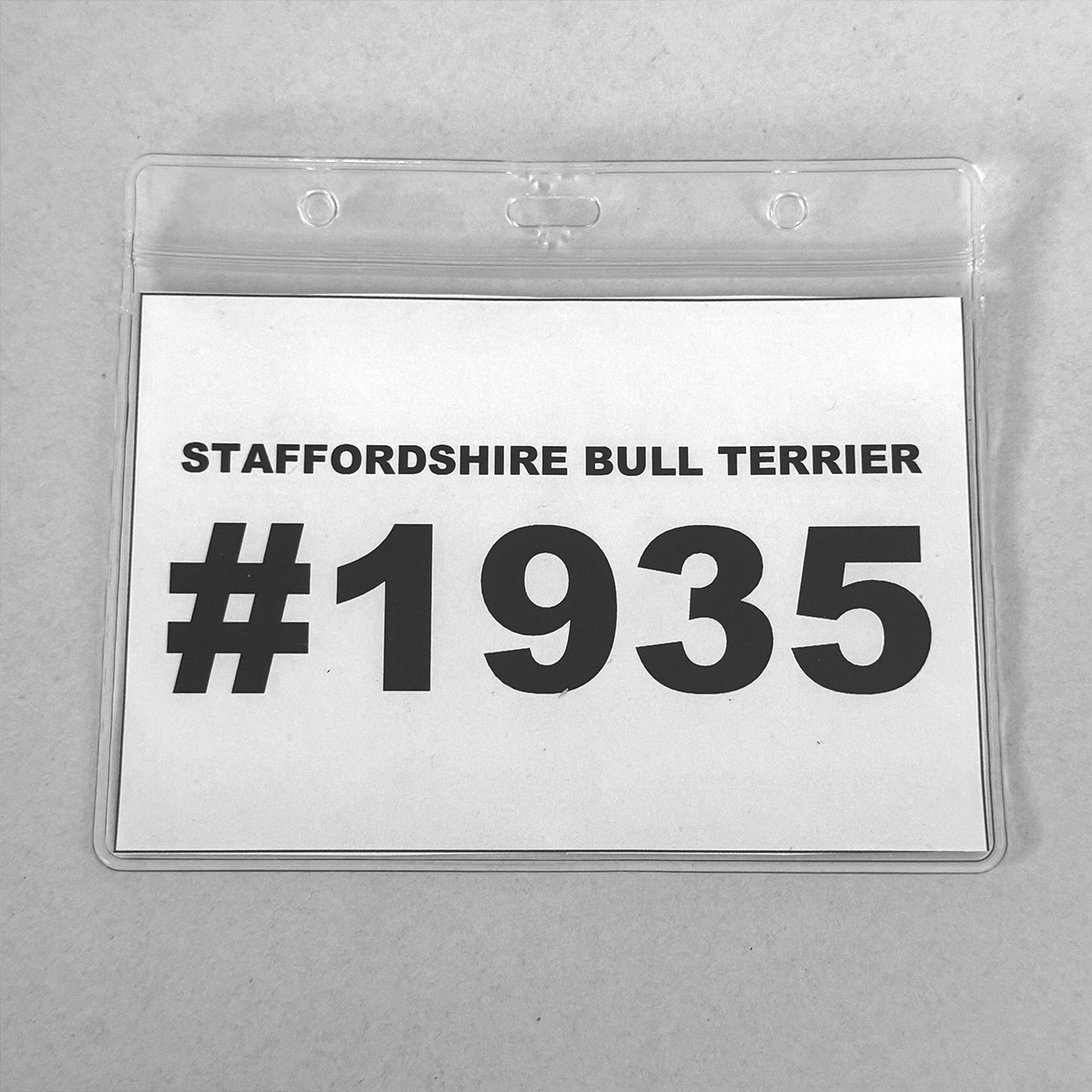 Staffordshire Bull Terrier 1935® Show Extra Placeholder Front