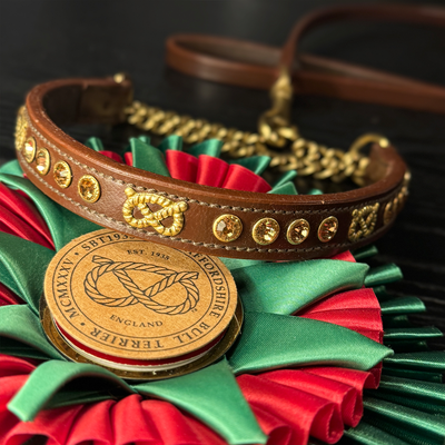 Staffordshire Bull Terrier 1935® Utställningshalsband Halvstryp & Koppel Set - Bärnsten - Brun & Guld