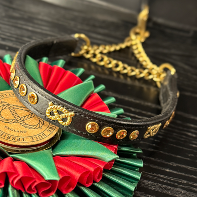 Staffordshire Bull Terrier 1935® Utställningshalsband Halvstryp & Koppel Set - Bärnsten - Svart & Guld