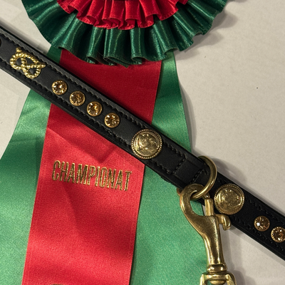 Staffordshire Bull Terrier 1935® Utställningshalsband & Koppel Set - Bärnsten - Svart & Guld